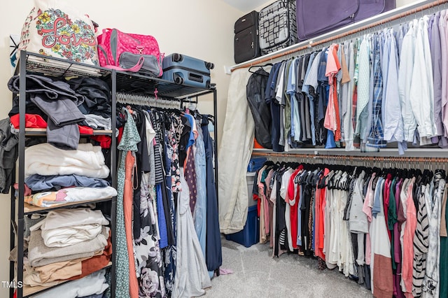 spacious closet featuring carpet flooring