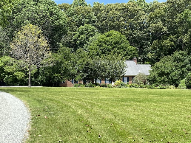 view of grassy yard