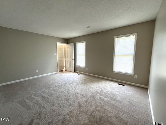 spare room with healthy amount of natural light, carpet flooring, baseboards, and a textured ceiling