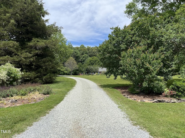 view of road with a wooded view