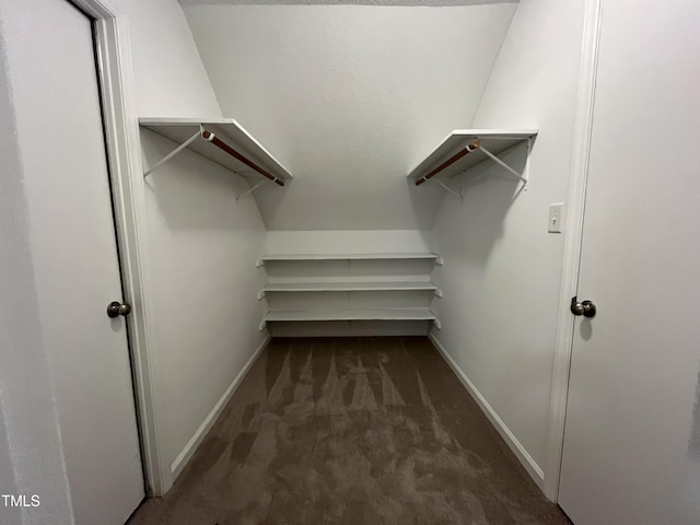 walk in closet featuring carpet flooring