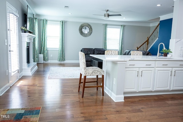 kitchen with open floor plan, crown molding, a ceiling fan, healthy amount of natural light, and dark wood-type flooring