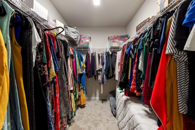 159 Wood Orchid Ln, Garner, NC 27529 - walk in closet with carpet