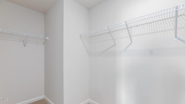209 Wood St, La Grange, NC 28551 - spacious closet with carpet