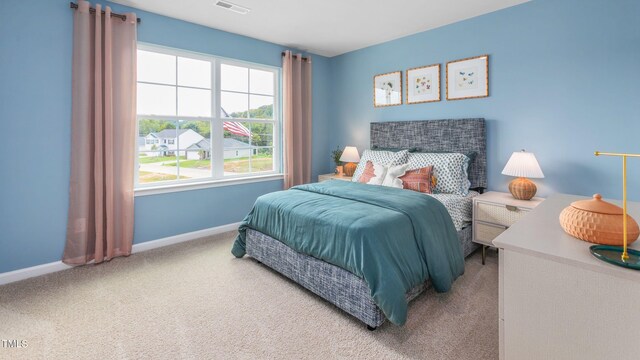 209 Wood St, La Grange, NC 28551 - carpeted bedroom with baseboards