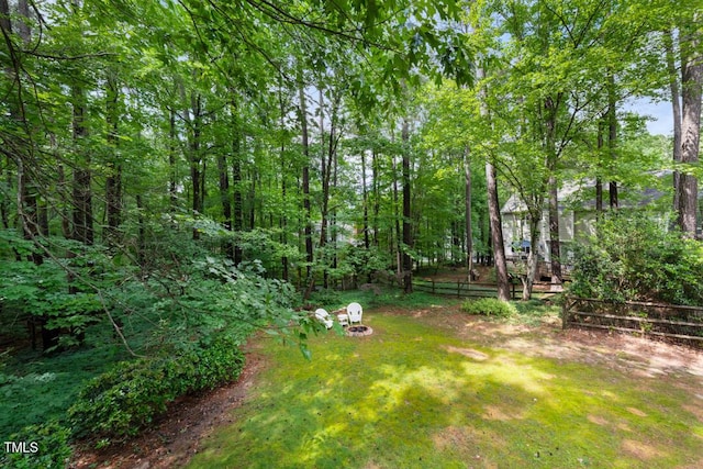 4 Barkridge Ct, Durham, NC 27713 - view of green lawn