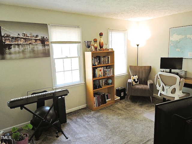 8 Woodsprite Ct, Durham, NC 27703 - office space with plenty of natural light, carpet floors, a textured ceiling, and baseboards