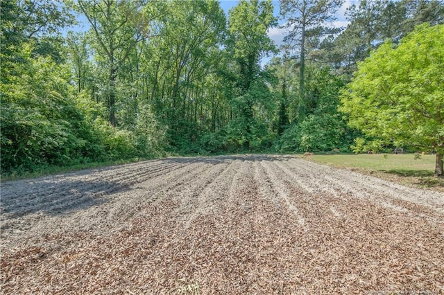2530 Adkins Hill Dr, Fayetteville, NC 28306 - photo 45