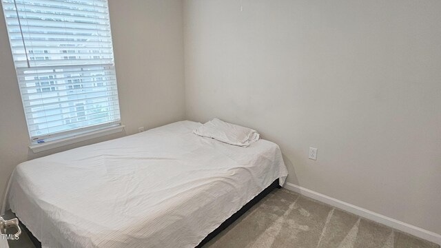 904 Romeria Dr, Durham, NC 27713 - bedroom with carpet floors and baseboards