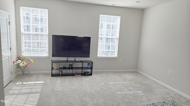 904 Romeria Dr, Durham, NC 27713 - carpeted living area featuring plenty of natural light