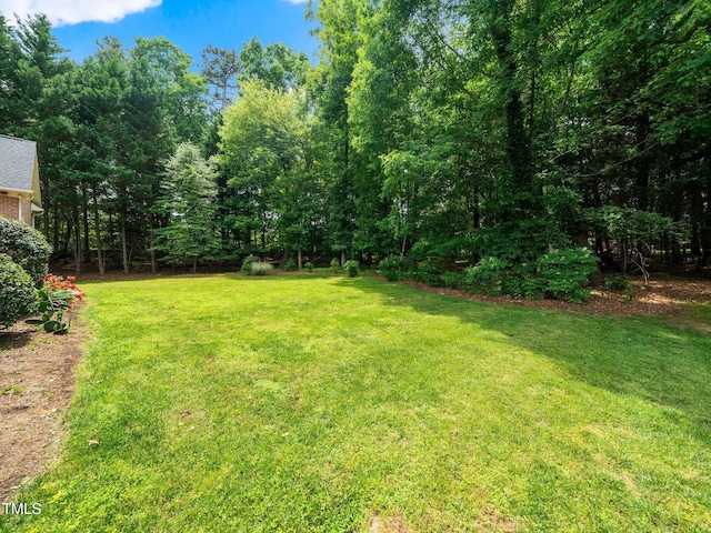 11221 Paddy Hollow Ln, Raleigh, NC 27614 - view of grassy yard
