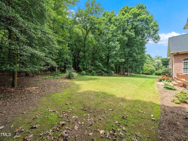 11221 Paddy Hollow Ln, Raleigh, NC 27614 - view of grassy yard