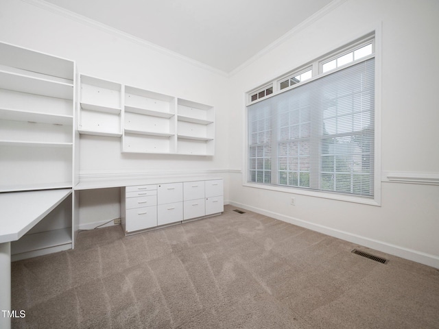 11221 Paddy Hollow Ln, Raleigh, NC 27614 - unfurnished office with crown molding, carpet floors, healthy amount of natural light, and baseboards