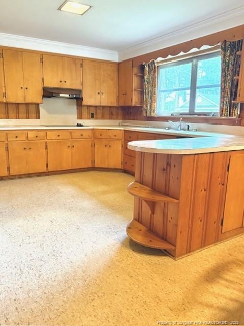 209 S Main St, Salemburg, NC 28385 - kitchen featuring open shelves, under cabinet range hood, light countertops, electric cooktop, and ornamental molding