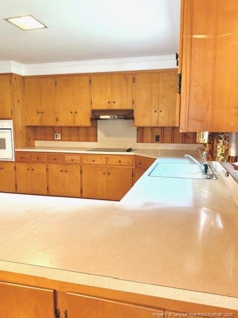 209 S Main St, Salemburg, NC 28385 - kitchen featuring white oven, a sink, under cabinet range hood, black electric cooktop, and light countertops