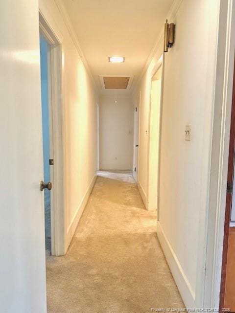 209 S Main St, Salemburg, NC 28385 - corridor with attic access, light carpet, ornamental molding, and baseboards