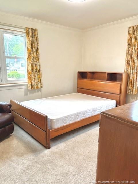 209 S Main St, Salemburg, NC 28385 - carpeted bedroom featuring ornamental molding