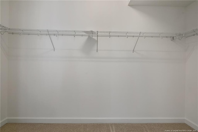 spacious closet with light colored carpet