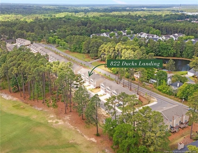 drone / aerial view of a forest