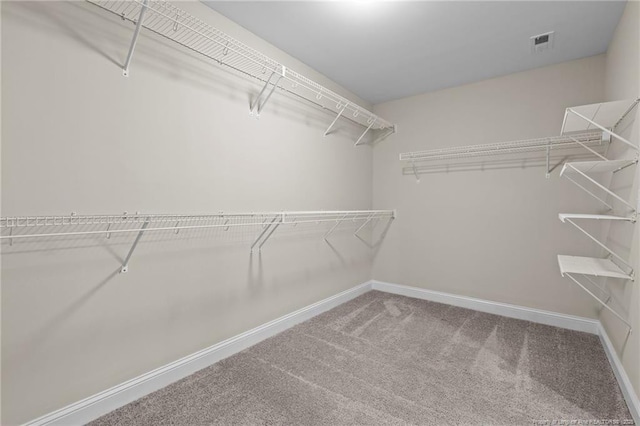 spacious closet featuring carpet floors