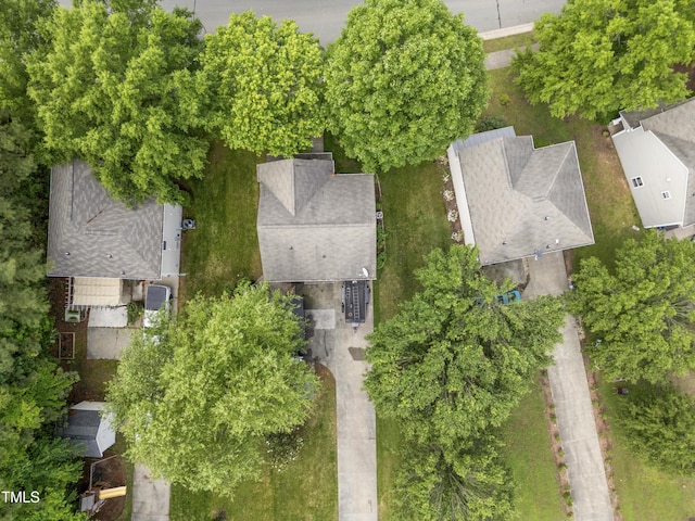bird's eye view