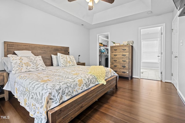 bedroom with a tray ceiling, a spacious closet, a closet, wood finished floors, and ceiling fan