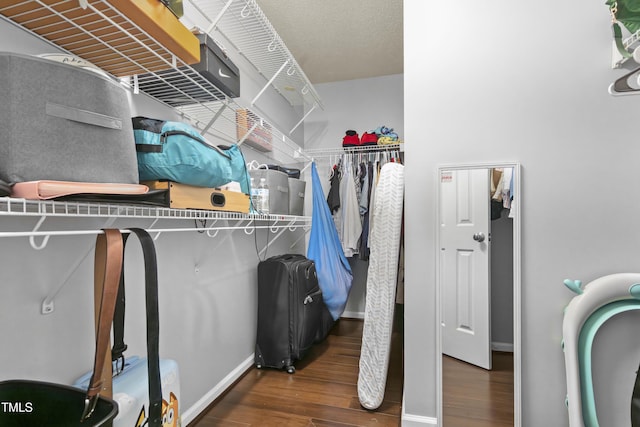 spacious closet with wood finished floors