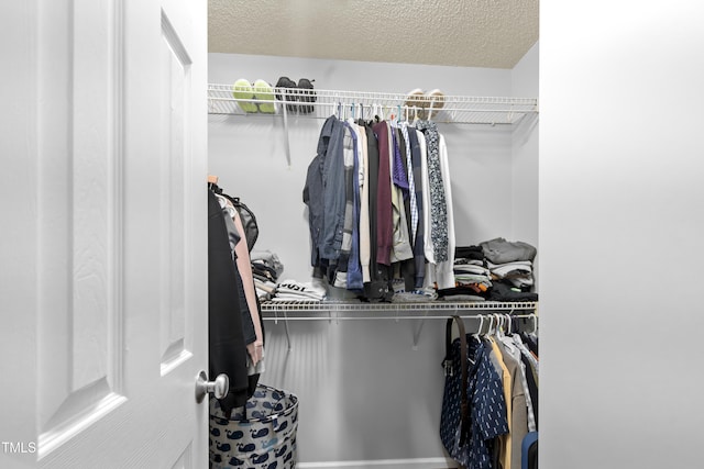 view of spacious closet