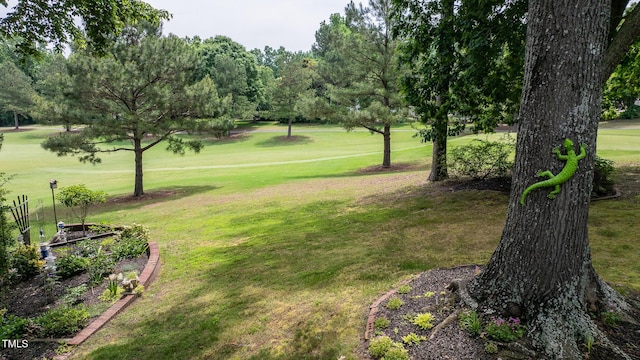 204 Muirfield Ln, Clayton, NC 27527 - view of home's community featuring a yard, view of wooded area, and golf course view