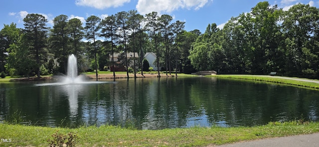 100 Wentbridge Rd, Cary, NC 27519 - water view