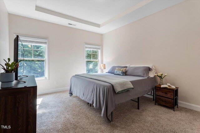 68 Tanners Way, Clayton, NC 27527 - bedroom featuring baseboards, light carpet, and a raised ceiling