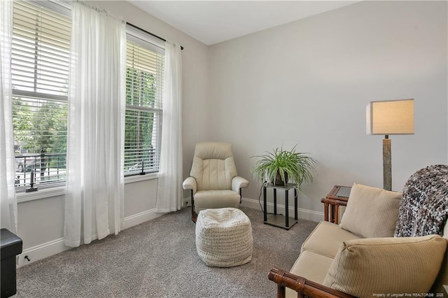 sitting room featuring baseboards and carpet floors