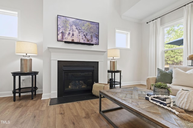 1928 Vandiver Way, Apex, NC 27523 - living area featuring wood finished floors, a fireplace with flush hearth, and baseboards