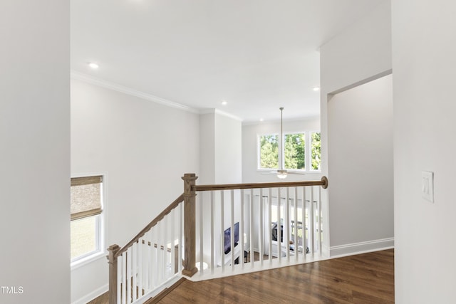 1928 Vandiver Way, Apex, NC 27523 - hallway with baseboards, recessed lighting, wood finished floors, an upstairs landing, and ornamental molding