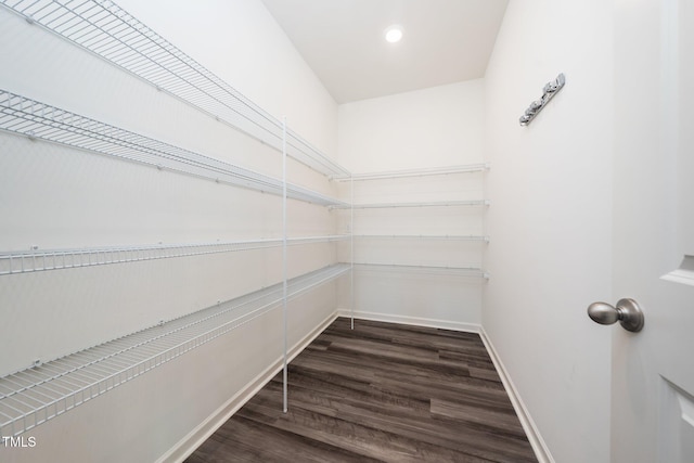 171 Piney Field Rd, Fuquay Varina, NC 27526 - view of pantry