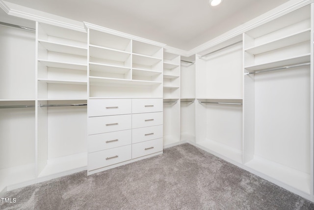 171 Piney Field Rd, Fuquay Varina, NC 27526 - spacious closet with carpet