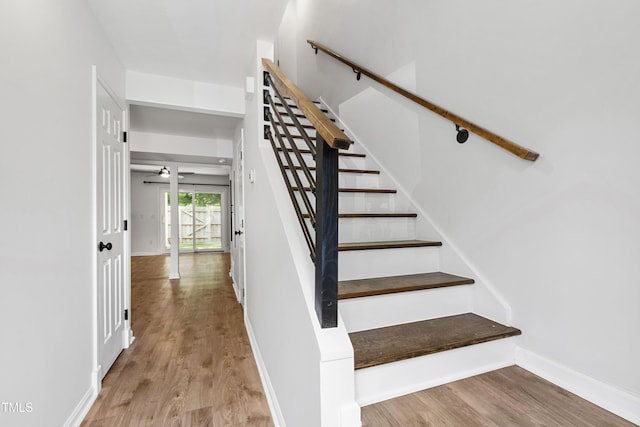 129 Assembly Ct, Cary, NC 27511 - stairs with wood finished floors, a ceiling fan, and baseboards