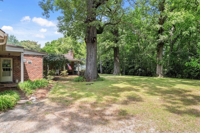1605 Longview Ave, Tarboro, NC 27886 - view of green lawn
