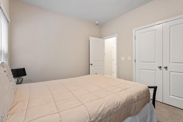 320 Everly Mist Way, Wake Forest, NC 27587 - carpeted bedroom featuring a closet