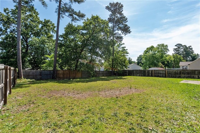 9012 Grouse Run Ln, Fayetteville, NC 28314 - view of yard