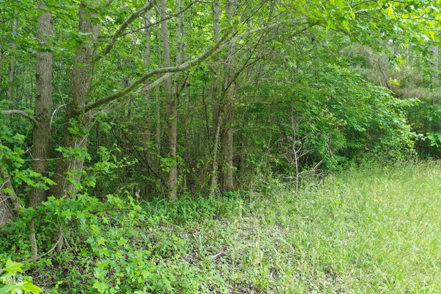 LOT2 Zion Church Rd, Norlina, NC 27563 - photo 20