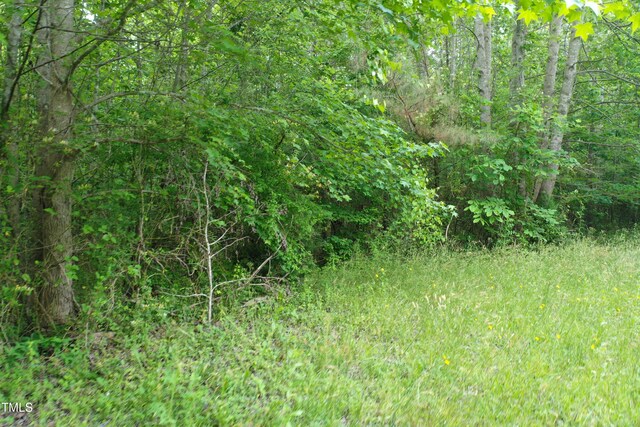 LOT2 Zion Church Rd, Norlina, NC 27563 - photo 22