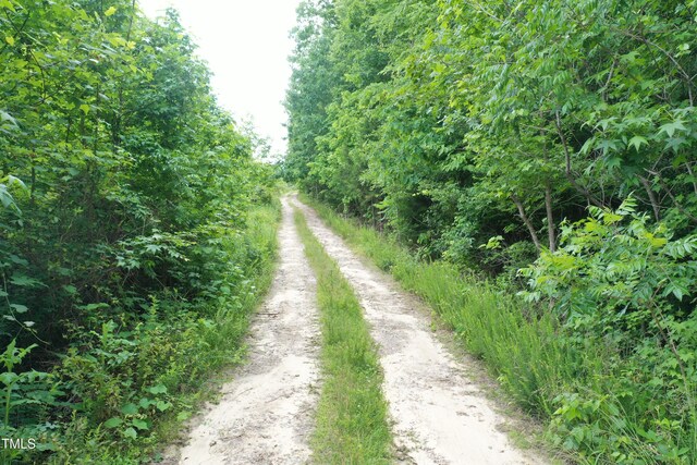 LOT2 Zion Church Rd, Norlina, NC 27563 - photo 23