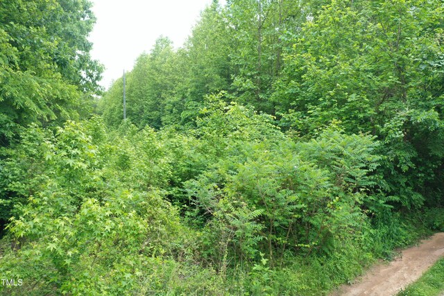 LOT2 Zion Church Rd, Norlina, NC 27563 - photo 24