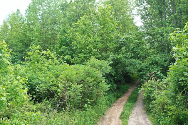 LOT2 Zion Church Rd, Norlina, NC 27563 - photo 25