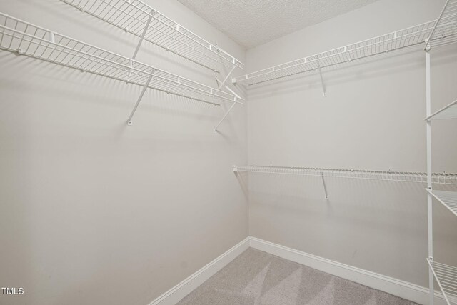 1005 Barmkin Pl, Knightdale, NC 27545 - spacious closet featuring carpet floors