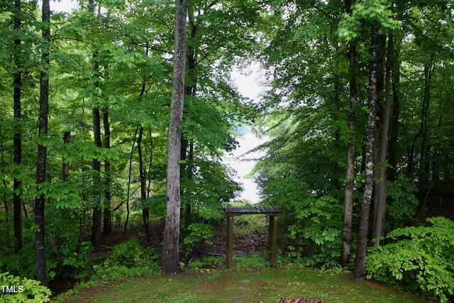 3750 Mebane Rogers Rd, Mebane, NC 27302 - view of yard