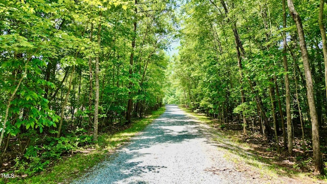 3750 Mebane Rogers Rd, Mebane, NC 27302 - view of road