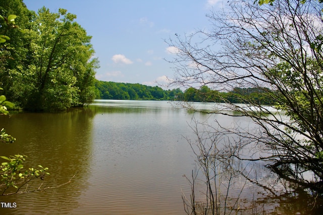 3750 Mebane Rogers Rd, Mebane, NC 27302 - water view with a forest