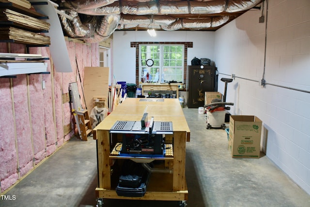 3750 Mebane Rogers Rd, Mebane, NC 27302 - basement featuring concrete block wall
